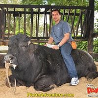 Luis Fernando Martinez Galvez