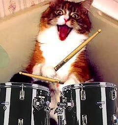 A Drum and A Cat – Medium
