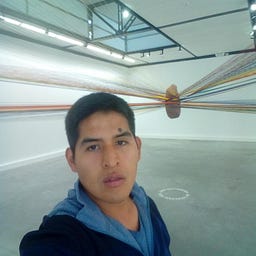 Luis Carlos Walcona Centeno