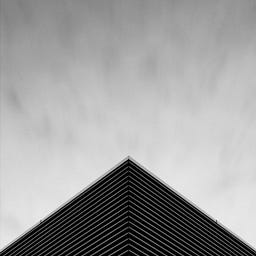 Ted Scott