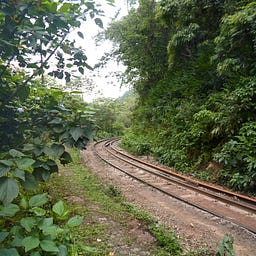 Pensamentos Aleatórios