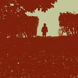 Tom Benfield