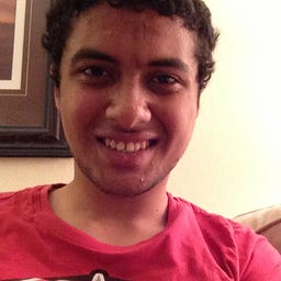Mahmoud Radwan Eariby