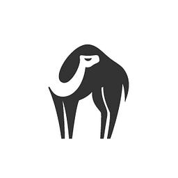 camel