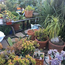 The Blog With No Name