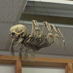 КuсruuТ
