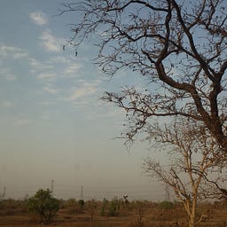 Shivanitiwari