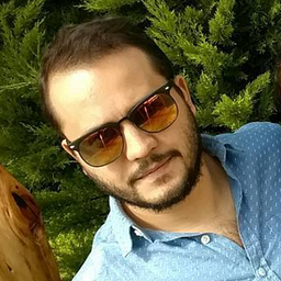 Walter Vides
