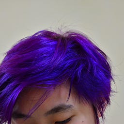 Teh Zhi Wen