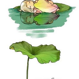 Jing Fei