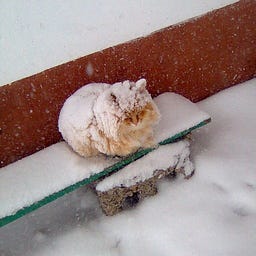 соnсеrnеd