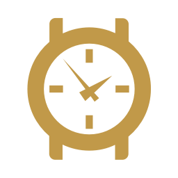 Perfect Watch Shop