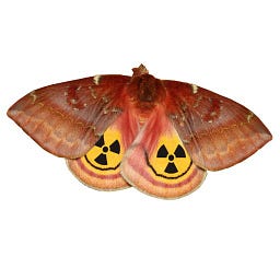 Polilla Radiactiva