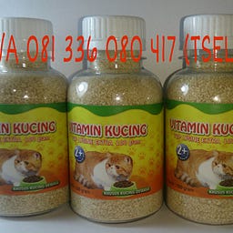 Vitamin Kucing Agar Gemuk Medium