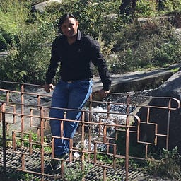 Paras Joshi