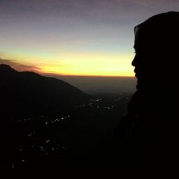 Ulmi Marsya