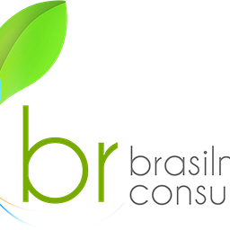 BrasilNet Consulting