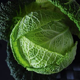 Joshua Cabbage