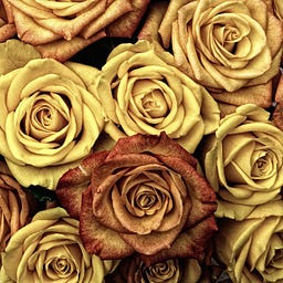 F