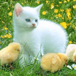 milton_123