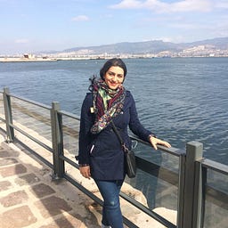 shabnam hamidi