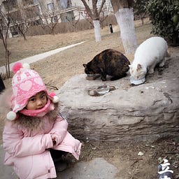 Jiaxin Li Dani