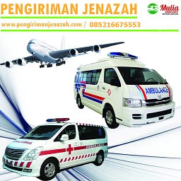 transmulia ambulance