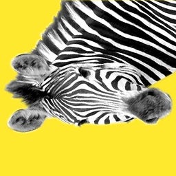 SidewaysZebra