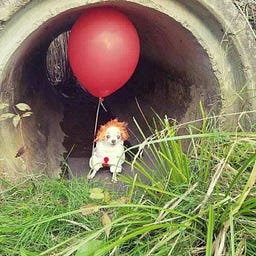 асеdJасеd