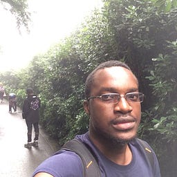 Michael Makafui Ametepee