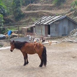 영구스핀