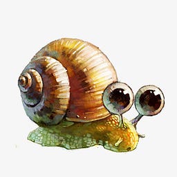 Snail