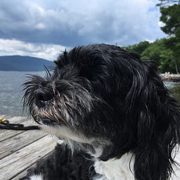 ᴹᴵᴬ ᴮᴱᴿᴺᴵᴺᴳᴱᴿ