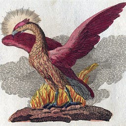 Phoenix Stark