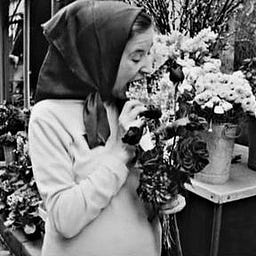 Tilda Agace
