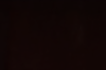 Laura Green