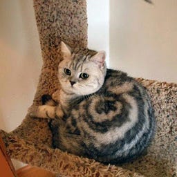 сrауGеnеrаТоr