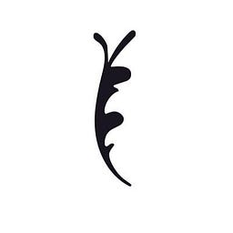 Orki App