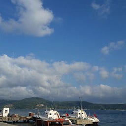 bapiakengin