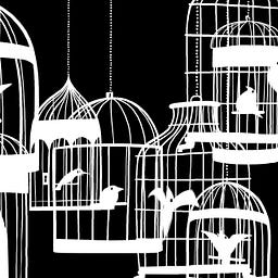Amy Raasch