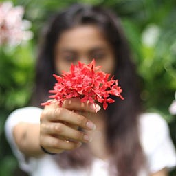 Vanshika Mistry