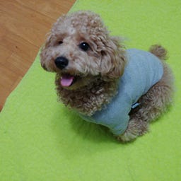 klaytn 스터디그룹