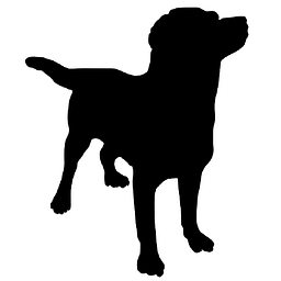 paintdog