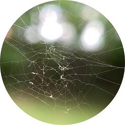 HashedEntropy