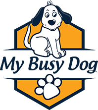 busy dog boots