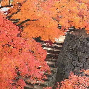 紅葉x 化學 紅葉為誰紅 第七狩 解構四國紅葉賞地兼預想滿開日 By 是日太郎 是日日本 Medium
