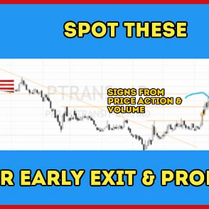 Ptrans share price