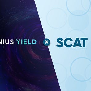 Genius Yield Ispo Update As Many In The Community Have Noticed By Genius Yield Feb 22 Medium