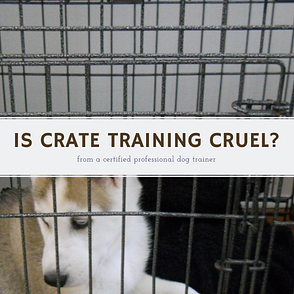 professional crate training