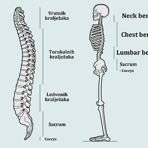 bol u zglobovima sacrum)